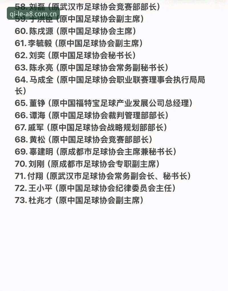 中国足协第三批禁足名单深度解析：17人终身禁赛背后的足球乱象与反思